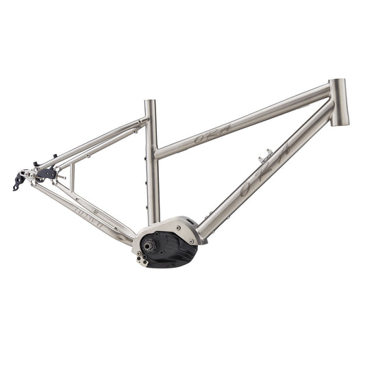 Titanium Mountain E-bike Frame 23-ETM-303